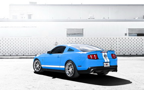 Ford Mustang Shelby GT 500