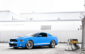 Mustang Shelby GT 500