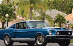 Mustang shelby gt 500 kr,  1968
