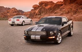 Ford Shelby GT 2007