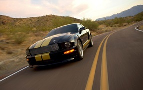Shelby GT