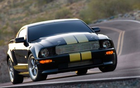 Shelby GT 2006 года