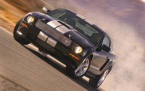 Ford Shelby GT 2007