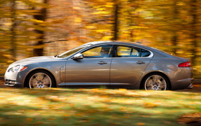Jaguar-XF 2011