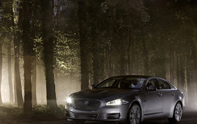 Jaguar XJ в лесу