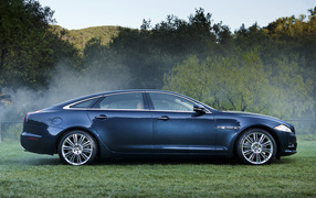 Ягуар XJ в лесу