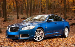 2011-Jaguar-XF
