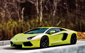 Lamborghini-Aventador Lp700