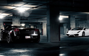 Lamborghini Gallardo White and Black