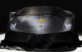 Lamborghini под покровом