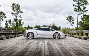 Performance Lamborghini Gallardo