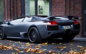 Lamborghini Murcielago вид сзади
