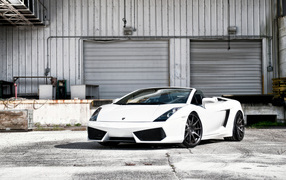 white Lamborghini Gallardo