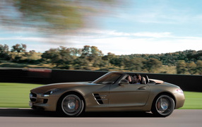 Mercedes-Benz-SLS-AMG Roadster