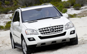 Mercedes-Benz ML320 Bluetec
