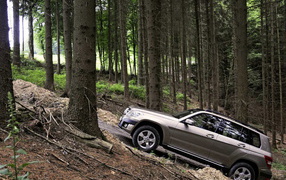 Mercedes Benz GLK прогулка по лесу