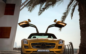 Mercedes Benz SLS AMG Desert Gold в тени пальмы