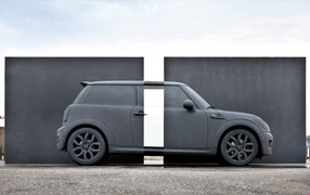 Аэрография хамелеон