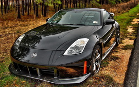 Nissan 350Z на обочине