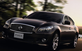 Nissan Fuga на прогулке