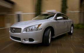 Ниссан Максима седан