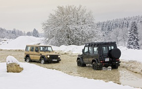 Внедорожники