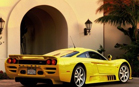 Saleen вид сзади