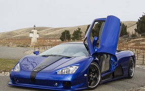 Shelby Ultimate Aero
