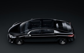 Peugeot 908 RC прозрачная крыша