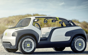 2010 Ситроен Концепт