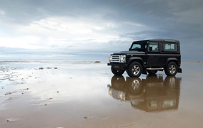 Rover on the beach