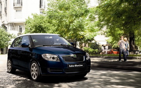 Skoda Fabia Blueline