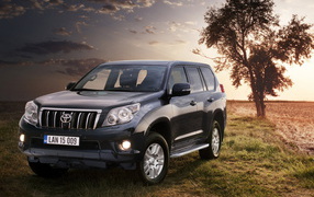 Toyota Land Cruiser возле дерева