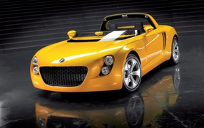 Немецкий спортсмен