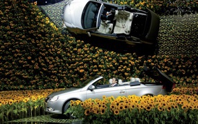 Volkswagen Eos and flowers