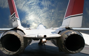 Реактивная, птичка