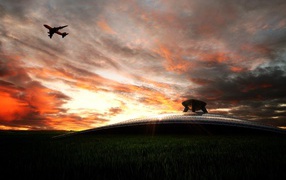 Пассажирский самолет в небе