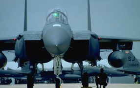 Крылатые воины