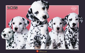 101 dalmatians