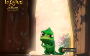 Рапунцель: Запутанная история