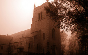 Замок в тумане