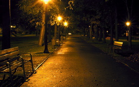 Ночная аллея