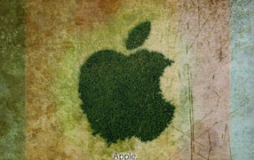 Apple, grass
