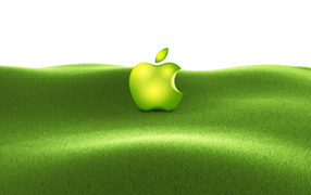 Apple company