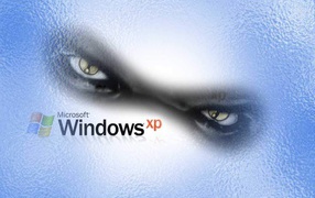 Windows XP глаза