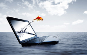 Laptop and fish
