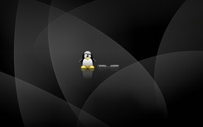 Linux Black picture