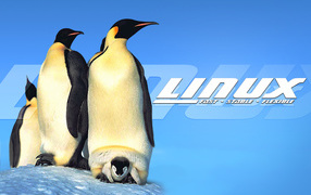Пингвины Linux