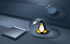Linux картинка
