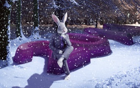 2011 Год зайца